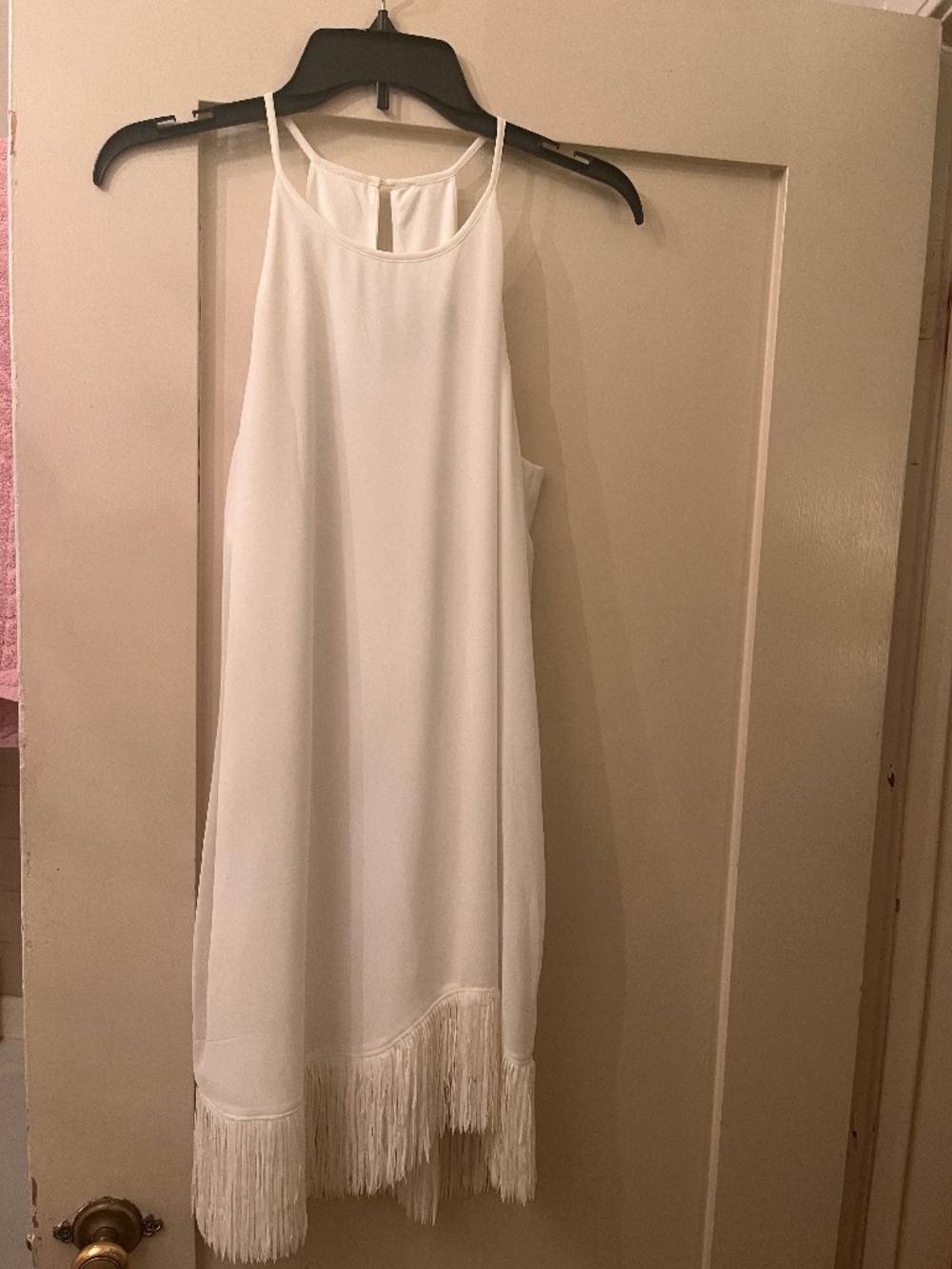 Naked Zebra Flirty Party Dress